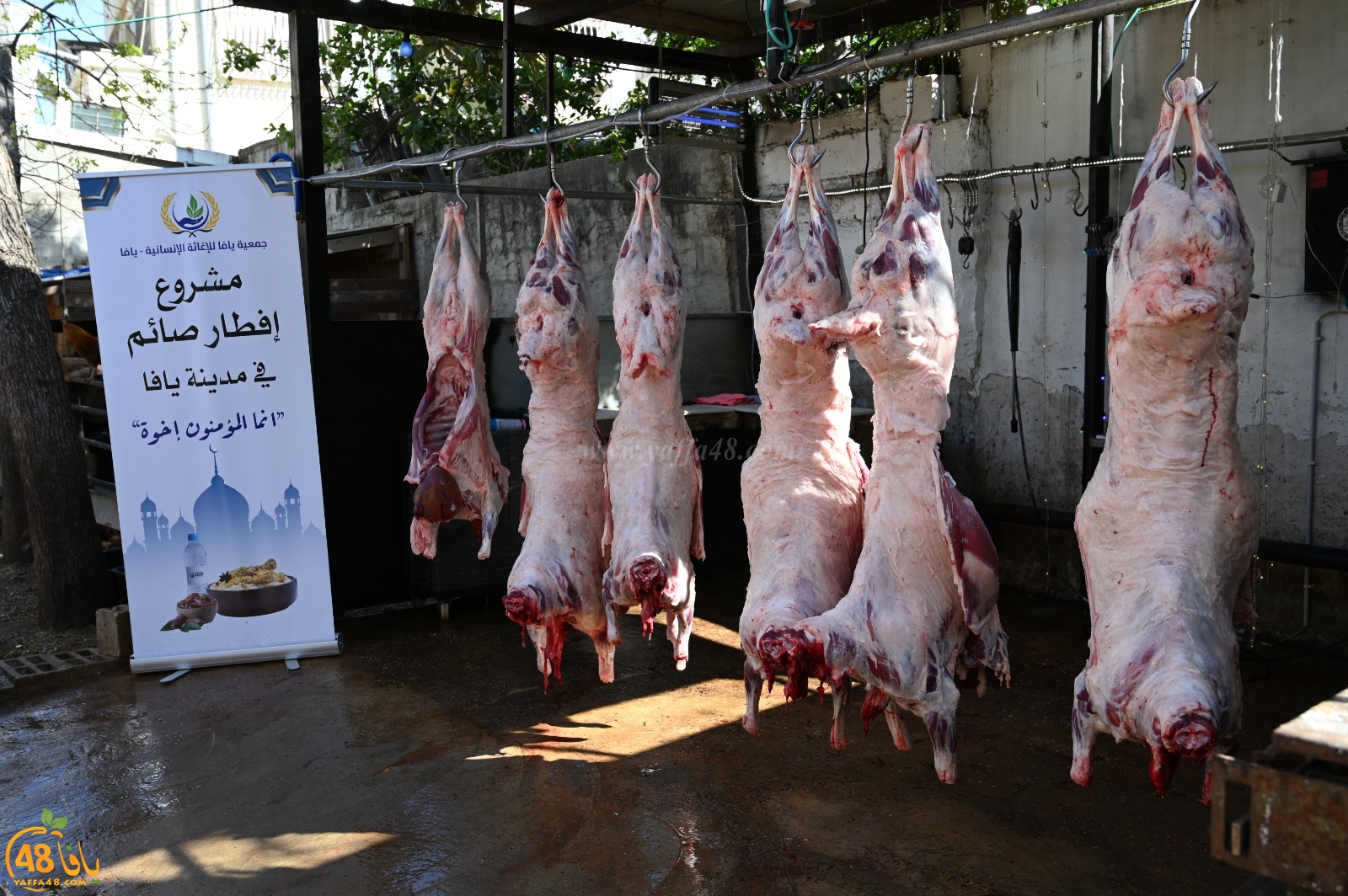 فيديو: للعام الثالث - دعوة للإفطار في ساحة مسجد الجبلية يوم الأربعاء المقبل